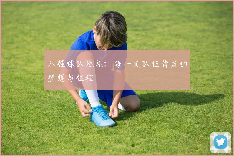 八强球队巡礼：每一支队伍背后的梦想与征程